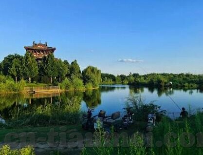 91精品麻豆91久久久久久-探索多元文化，开启高质量知识之旅